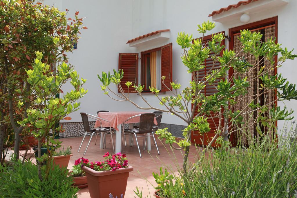 Apartments Reljic With Terrace باشْكا المظهر الخارجي الصورة